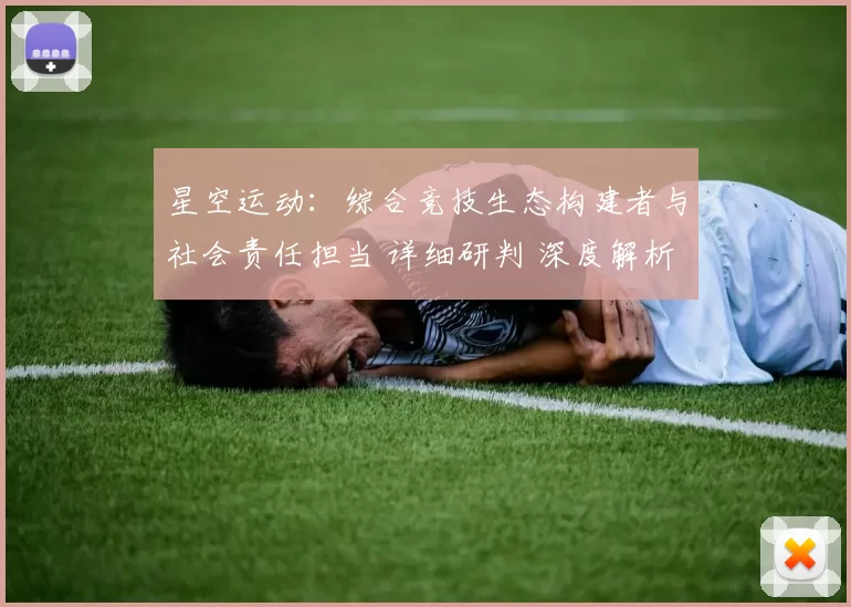 星空运动：综合竞技生态构建者与社会责任担当 详细研判 深度解析 深度解析